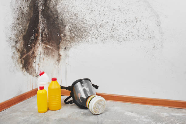 Coffeyville, KS Mold Removal Company