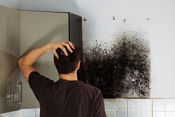 Best Mold Removal Specialists  in Coffeyville, KS