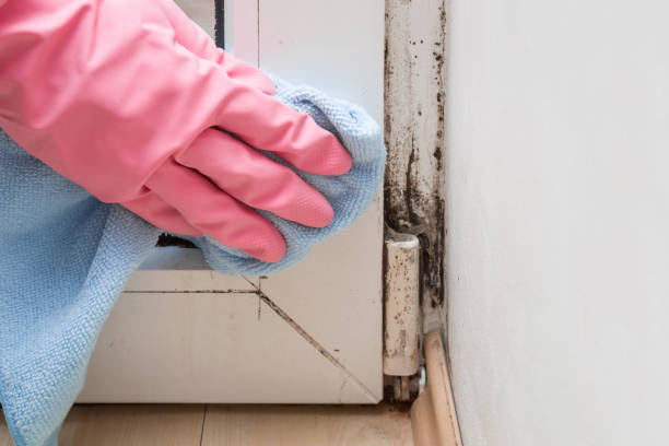 Best Crawl Space Mold Removal  in Coffeyville, KS